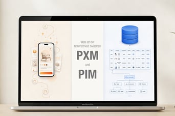 PXM und PIM: der Unterschied verständlich erklärt