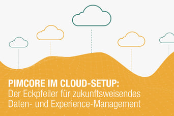 Pimcore im Cloud-Setup: Der Eckpfeiler für zukunftsweisendes Daten- und Experience-Management