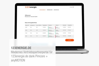 Modernes Vertriebspartnerportal für 123energie.de dank Pimcore + anyMOTION