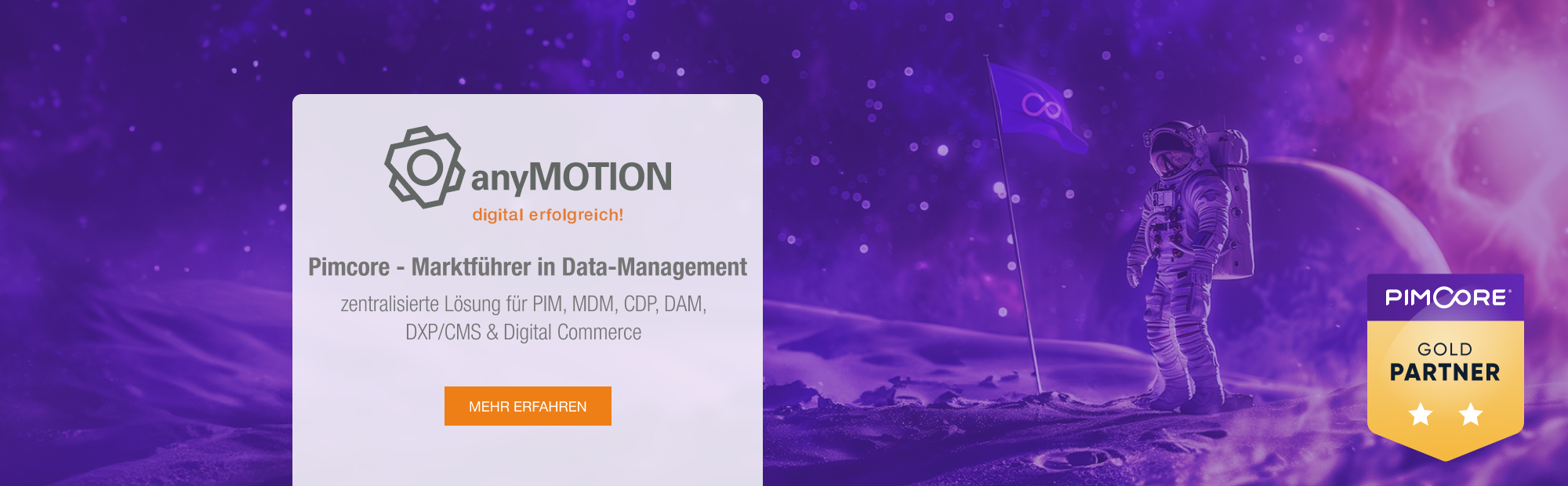 anyMOTION Pimcore Gold Partner