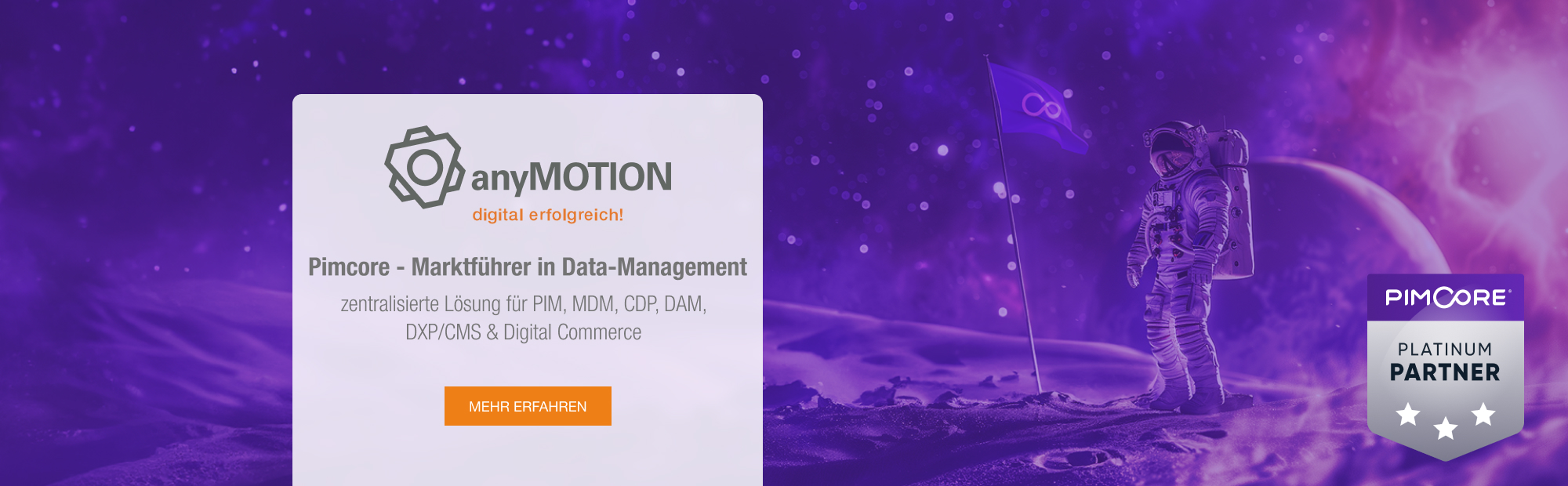anyMOTION Pimcore Platin Partner